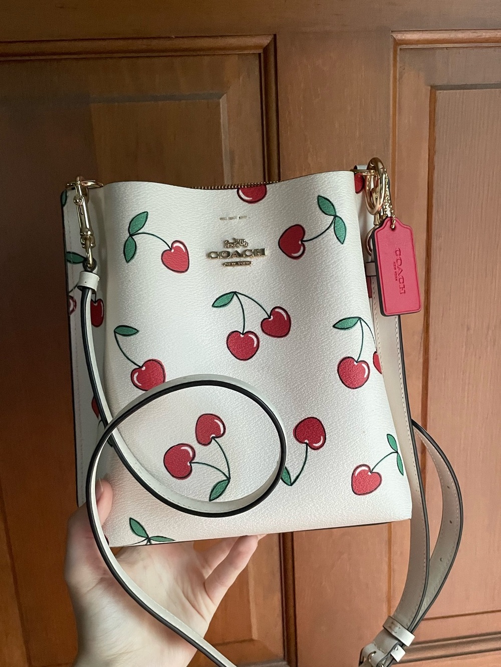 Coach Mollie Bucket Bag 22 in cherry print